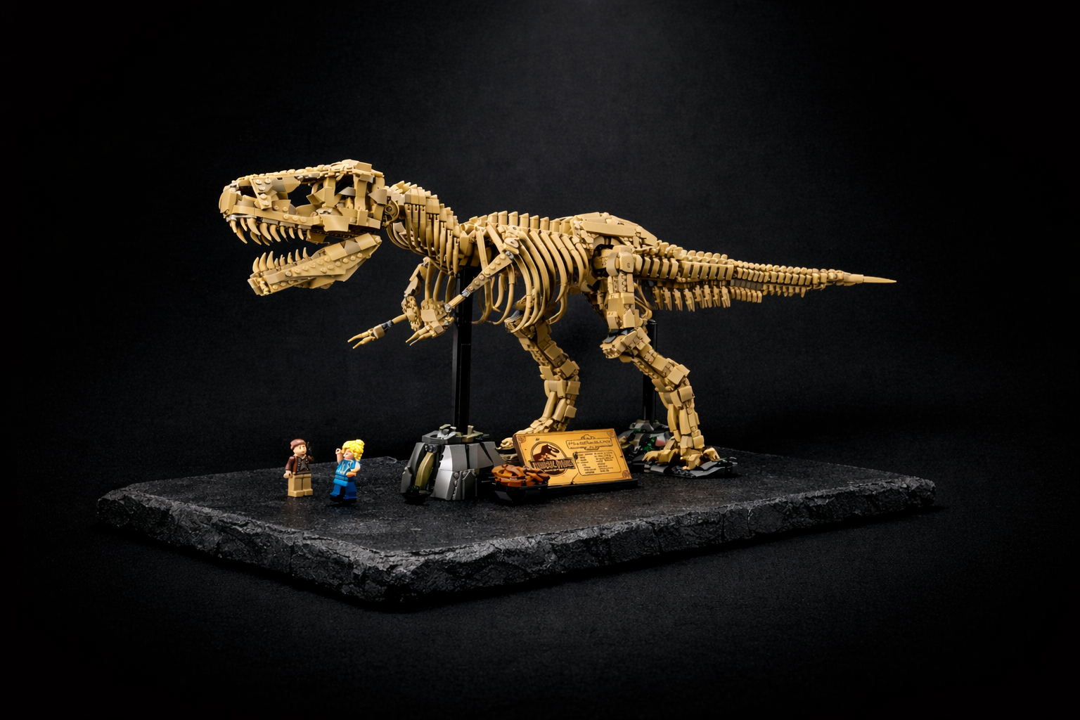 Dinosaur Fossils: Tyrannosaurus